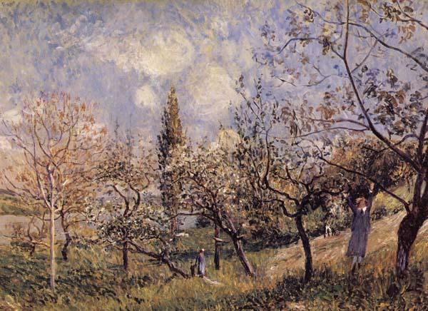 Alfred Sisley Orchard in Sping-By Germany oil painting art